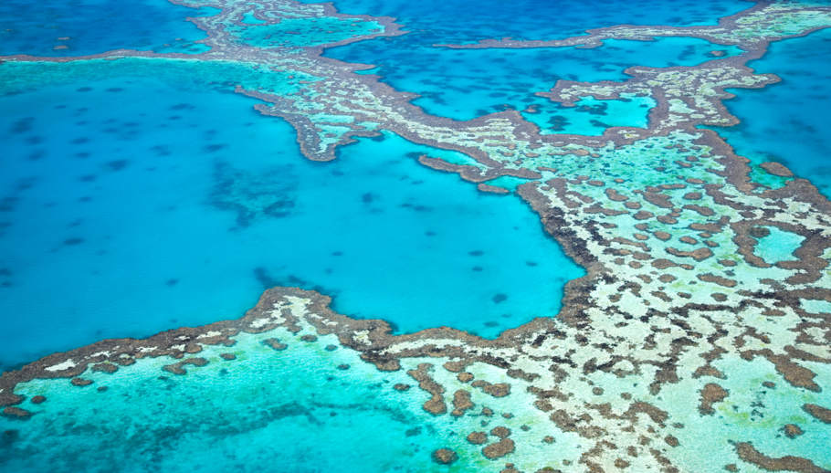 Aerial photo of great barrier reef